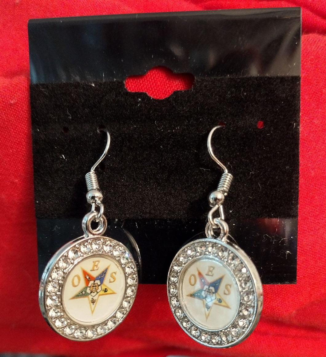 Round OES Stainless Earrings