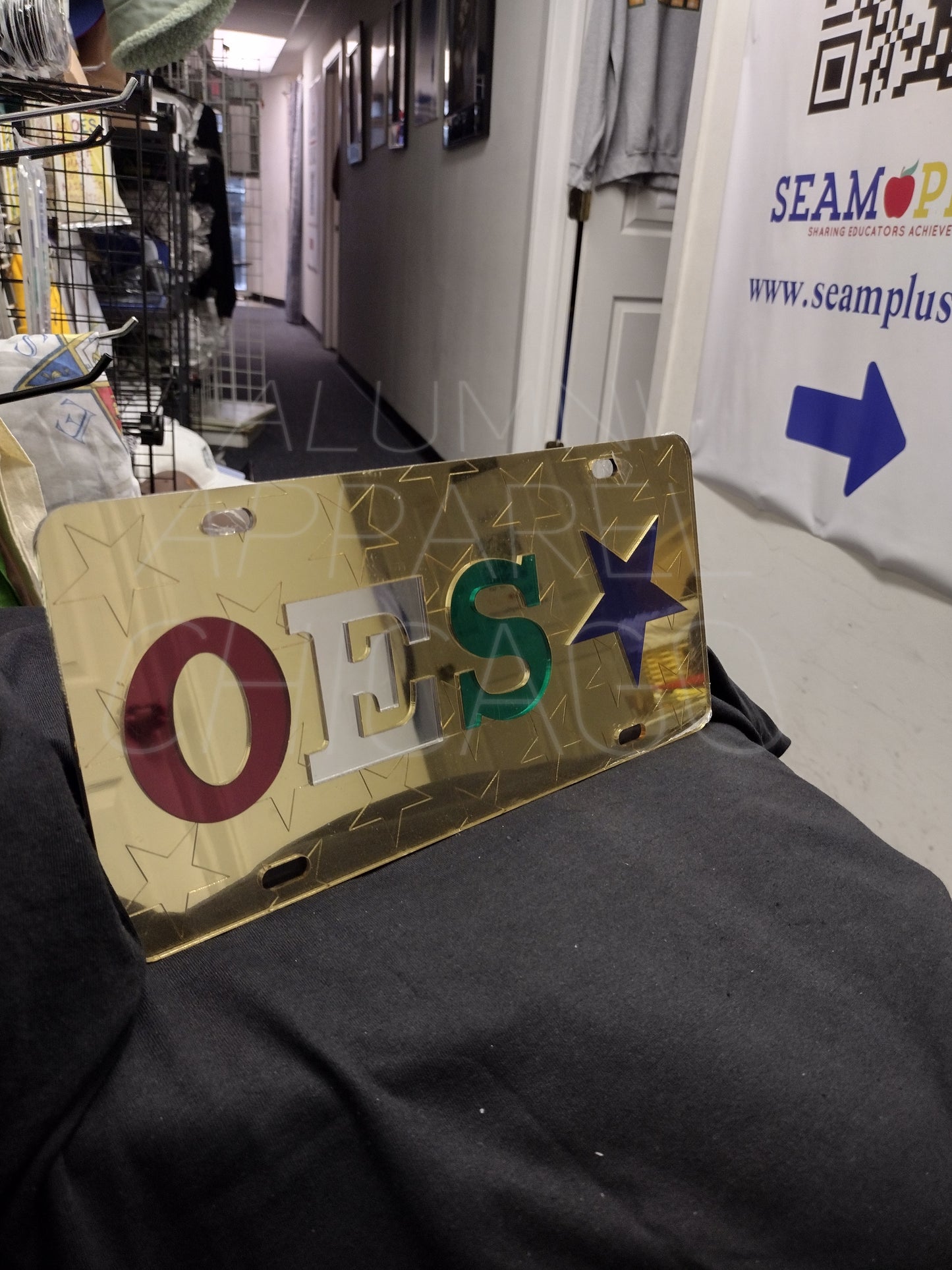 OES Mirrored License Plate