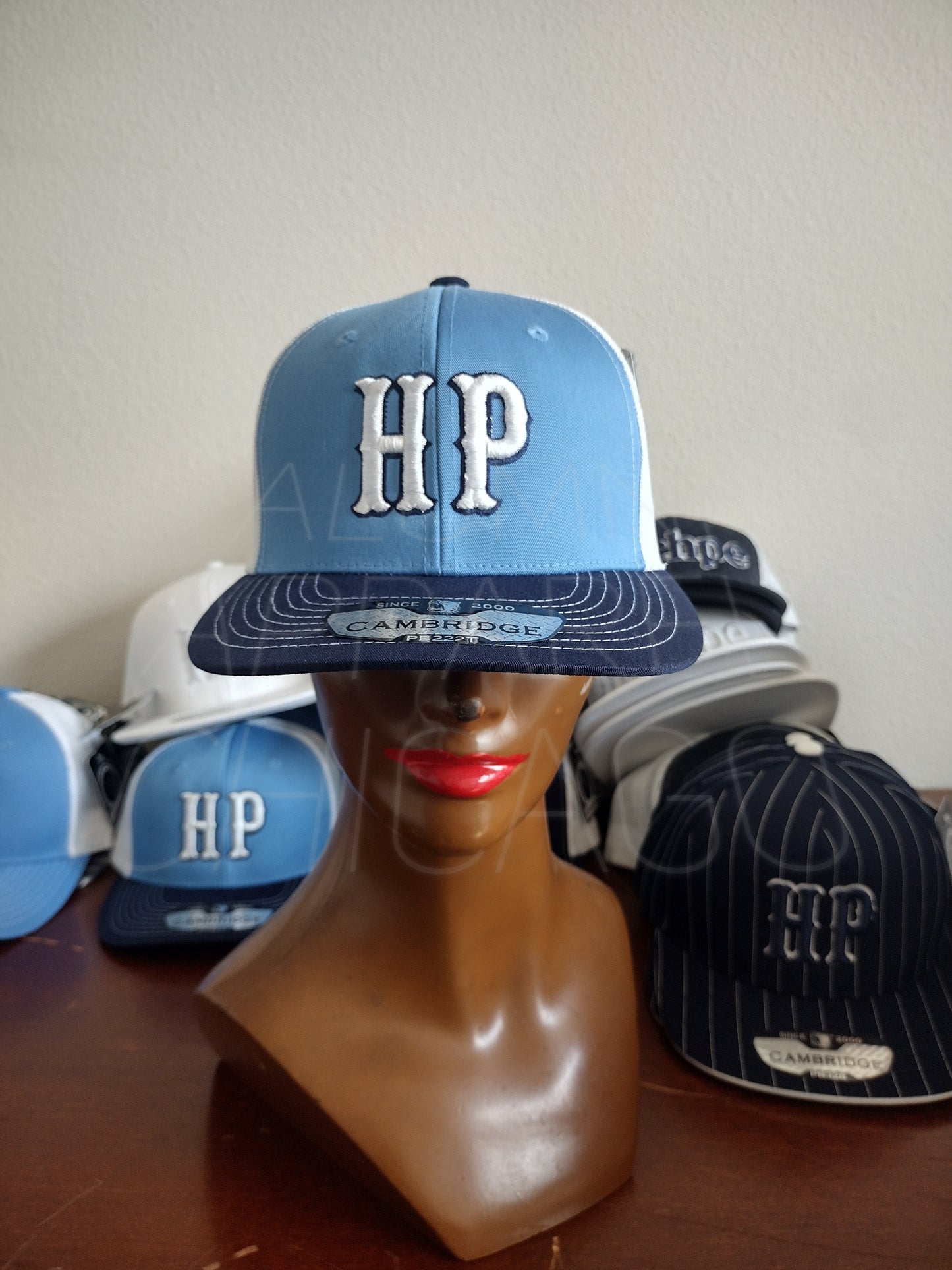 HP SnapBack