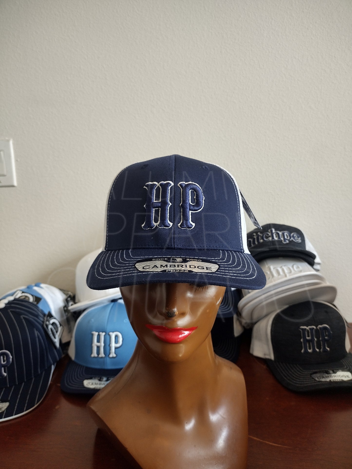 HP SnapBack