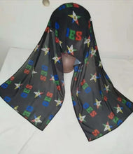 Load image into Gallery viewer, OES Scarf
